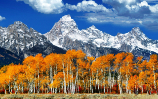 Деревья горы осень