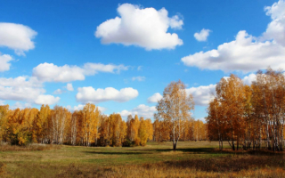 Облака над осенними березами