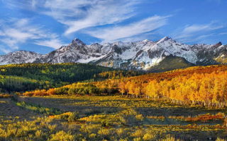 Осенний пейзаж лес горы