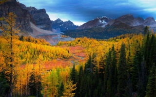 Осенняя тайга