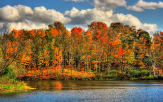 Река лес облака осень