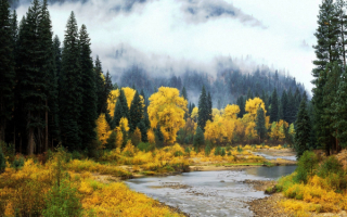 Таежная осень