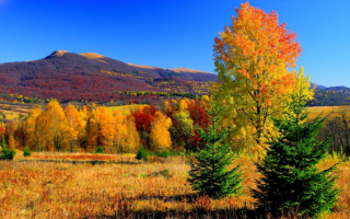 Осень на природе