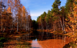 Осень на старице