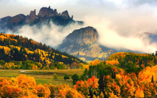 Лес горы туман осень