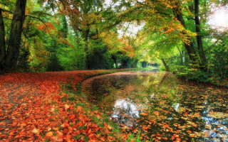 Осень в старом парке