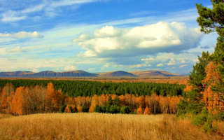 Поле лес горы облака осень