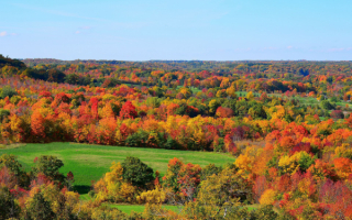 Осенняя раскраска природы