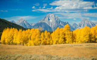 Поляна лес горы облака осень