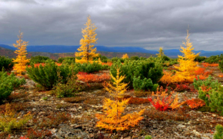 Северная осень