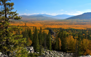 Таежная осень