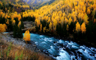 Осень в речном каньоне