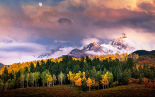 Осенний лес в горах