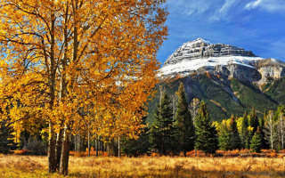 Осень под горой