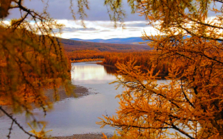 Осень в южной Якутии