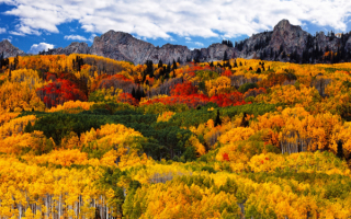 Красивая картинка осени