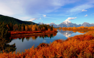 Красивая осень