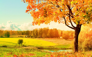 Осенний деревенский пейзаж