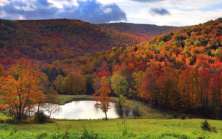 Осенний лес на горах
