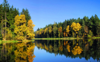 Золотые проблески осени