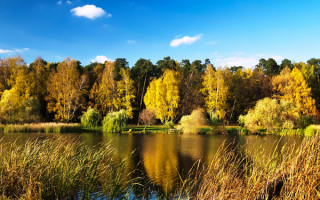 Осенний день на тихой речке