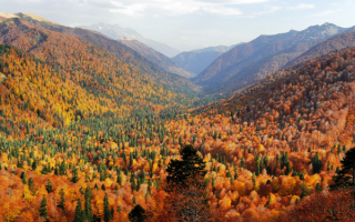 Осень на Кавказе