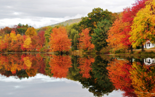 Отражение осени