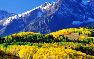 Осенний лес в горах