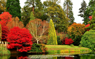 Осень в старом парке