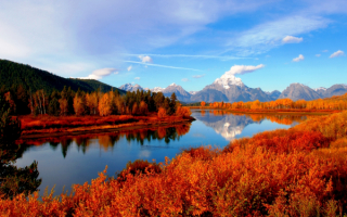 Река в осенних берегах