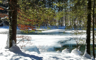 Замерзший пруд в зимнем парке