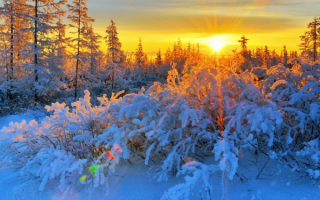 Морозное зимнее утро