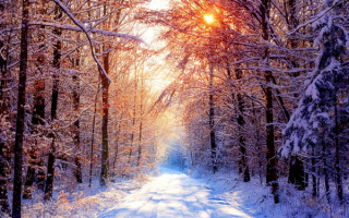 Зимняя дорога
