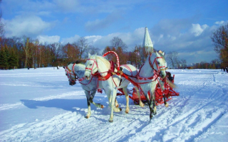 Русская зима