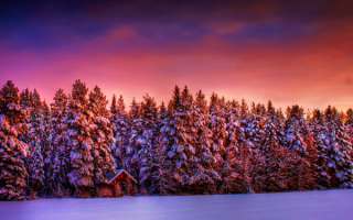 Закат над зимним лесом