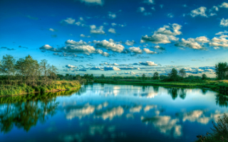 Летняя река в зеленых берегах