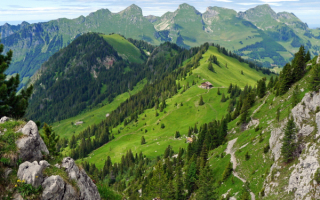 Лето в Альпах
