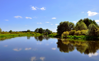 Лето на реке Воронеж