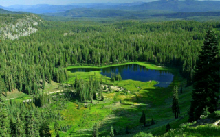 Лето в Карелии