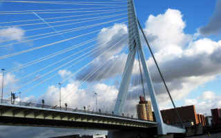 Вантовый мост в Роттердаме.
