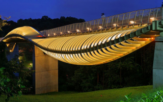 Мост волны Хендерсона в Сингапуре