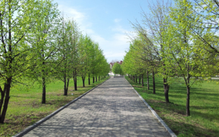 Весна в Екатеринбурге