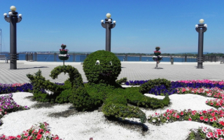 Зеленый осьминог на набережной в Анапе