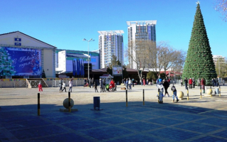 Новогодняя елка в Анапе