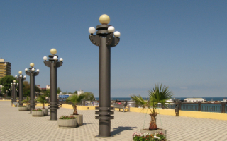 Пальмы на набережной