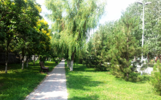 Пешеходная дорожка на пляж в Витязево