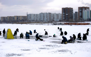 Зимняя рыбалка на Енисее в Красноярске
