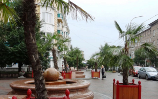 Красноярские пальмы