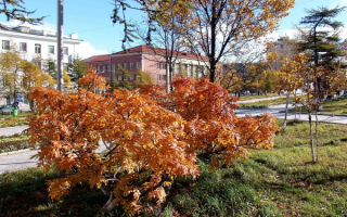 Осень в Магадане