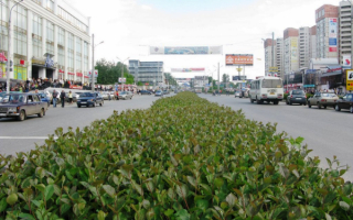 Улица Попова в Перми